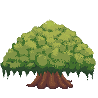Big Tree